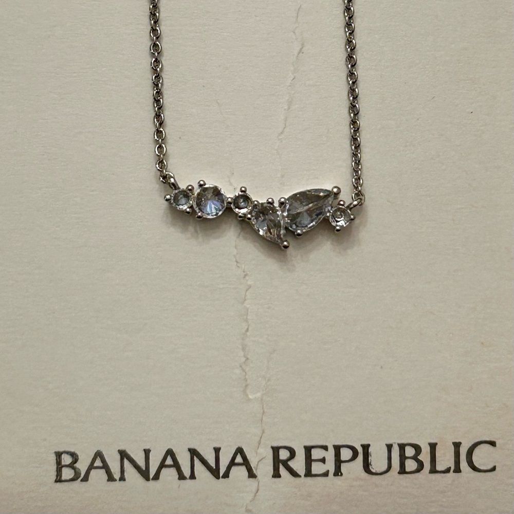 Banana Republic Silver Necklace